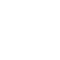 Salveo Logotyp