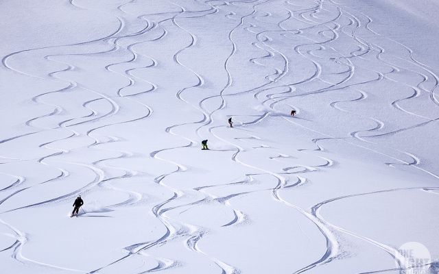 Obozy freeride snowboard