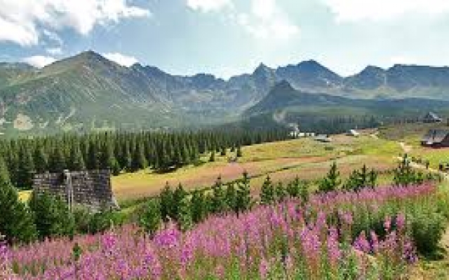 Zakopane