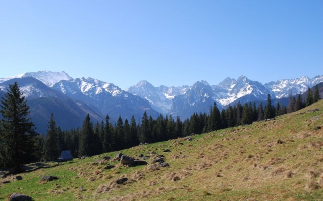 Biały Dunajec
