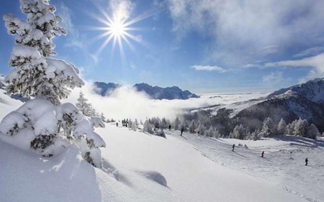 Freeski Camp Pinzolo 2023