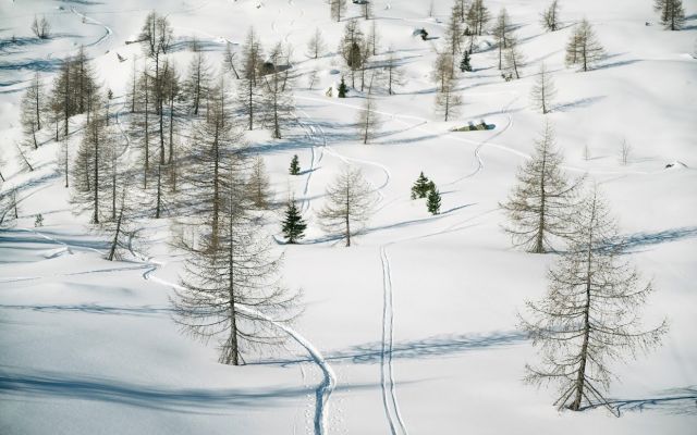 Freeski Camp Pinzolo 2023