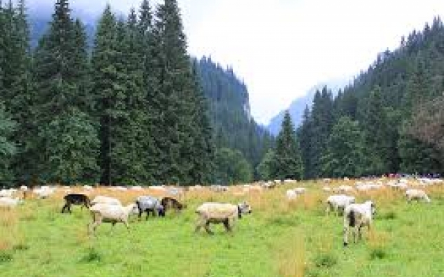 Extremalne Zakopane 3 dni z Łodzi