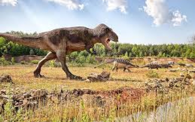 Krasiejów Jurapark i Park Ewolucji