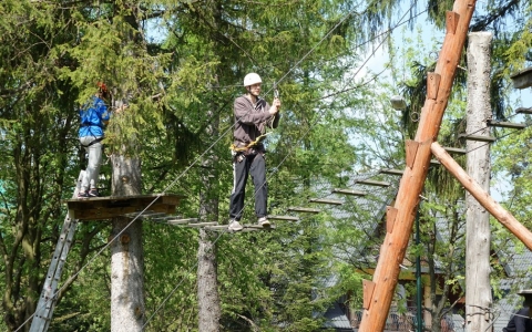 Wycieczki